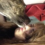 Excellent Pet Care Provider Available Today