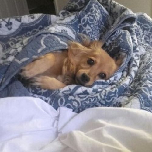 Housekeeper Provider Natalia G's Profile Picture