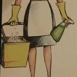 Shaniece's Cleaning Company