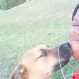 Lehigh Acres Dog Sitter Searching for Job Opportunities