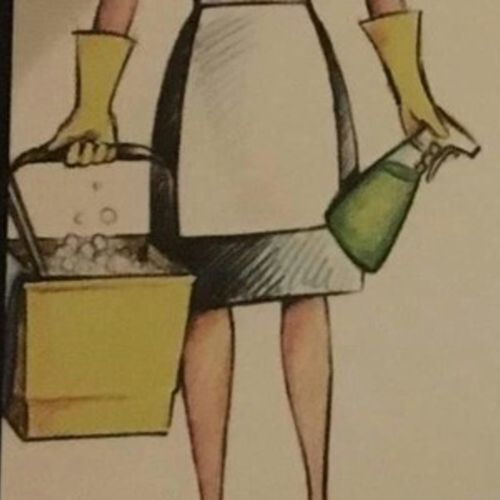 Housekeeper Provider Shaniece S's Profile Picture