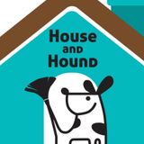I'm Amy and I have over 20 years experience caring for dogs and cats. I offer sitting in my home or yours + dog walking.
