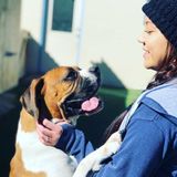 Lakewood Dog Handler/Walker Looking For Work