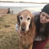 Animal lover and clean home caretaker