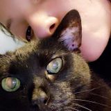 Joliet Pet Sitter Seeking Work in Illinois