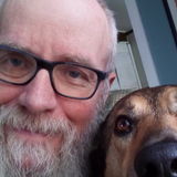 Pet walking, feeding and boarding