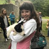 Honest Petsitter in New York, New York