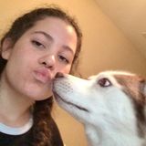 Navarre Animal Caretaker Ready To Help And Assist Anyone With Pet Care