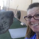 Available: Caring Pet Care Provider in Prescott