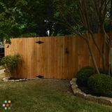 Remodle,fence (new and fix),decks,pegaloas,etc.
