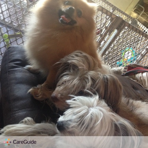 Pet Care Provider Anna K's Profile Picture