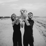 Trained and Experienced Animal Caregiver/ Dog Walker