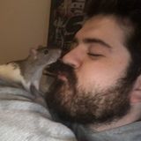Personal overnight and daycare for your pets! Long term or short term.