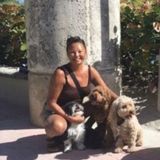 Looking for Dog Sitter in Toronto - Where our small and loving dogs will stay at your own home.