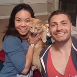 Loving and Dependable Pet Sitter - flexible hours!