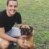 Careful Pet Care Provider for Your Home