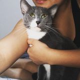 A reliable and loving sitter caring for your fur babies like they were my own!