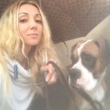 Skillful Dog Walker in Los Angeles, Experience Pet Sitter, Sitting and Care for Puppies&Kittens
