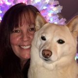 Absolute Dog Lover! Your family member will be treated with love and kindness.