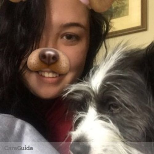 Pet Care Provider Madison Pickerel's Profile Picture