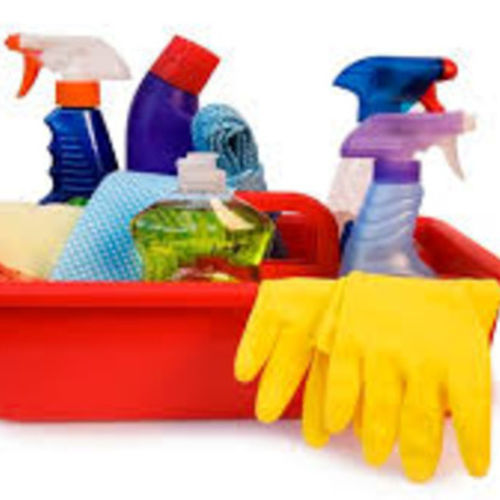 Housekeeper Provider Jeanette Bernard's Profile Picture