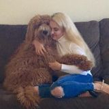 Flexible Pet Care Provider for Your Home