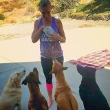 Seeking a Pet Sitter Job in San Bernardino
