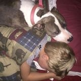 Seasoned Dog Sitter in Donalsonville, Georgia