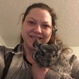 Expert in pet care looking for work and willing to travel