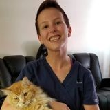 Palm Harbor Animal Caregiver Seeking Job Opportunities in Tampa Bay Florida