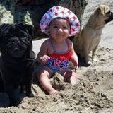 Available For a Pet Groomer Job in Port Hueneme