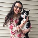 Animal Caretaker