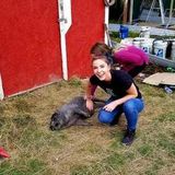 Experienced and flexible nanny for hire