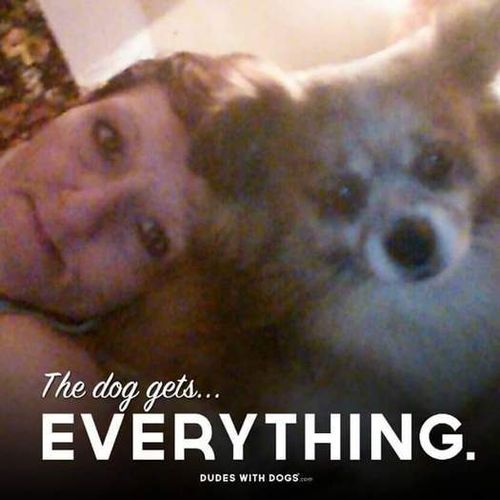 House Sitter Provider Celeste C's Profile Picture