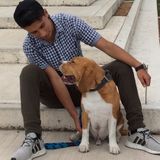 Caring Pet Care Provider. I will take care of your pet as if I were the owner.