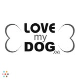 Scarborough Dog Walking Trained, Licensed, Bonded & Insured
