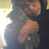 Elgin, Illinois Pet Care Provider