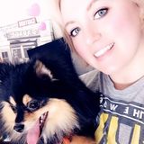 New Sitter Looking to Make Your Life a Little Easier