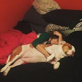 Capable Dog Walker/Dog Sitter in Chesapeake