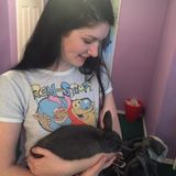 Seeking a Skilled Pet Sitter who has experience with rabbits in Milwaukie, Oregon