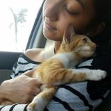 Hardworking Pet Sitter in Jupiter