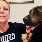 For Hire: Full Time, Experienced Pet Sitting Professional in Dallas