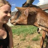 Reliable Animal Friendly House Sitting
