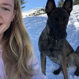 Available: Great Petsitter in Montreal