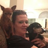 Affordable Pet Sitting