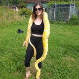 Experience with Dogs, Cats, Birds, & Reptiles