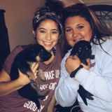 Experienced Animal Babysitter and walker!