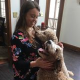 Insured Petsitter Servicing Malvern