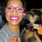House/Pet Sitting Service Provider in Oklahoma City