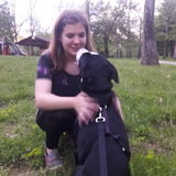 Roanoke Animal Sitter Available For Work
